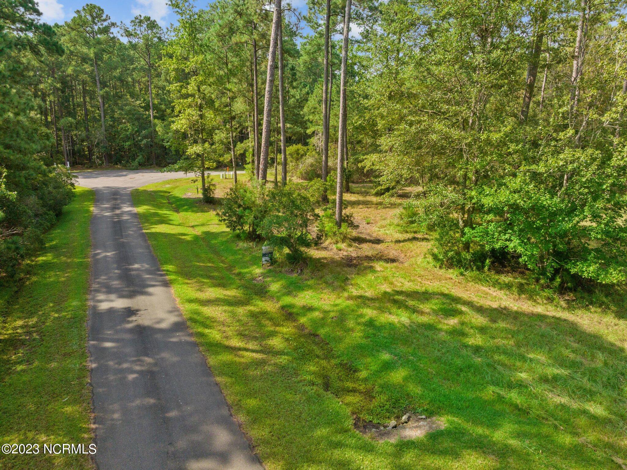 2504 Brown Creek Road Merritt, NC 28556 - Photo 11 of 24 1-web-or-mls-DJI_0218