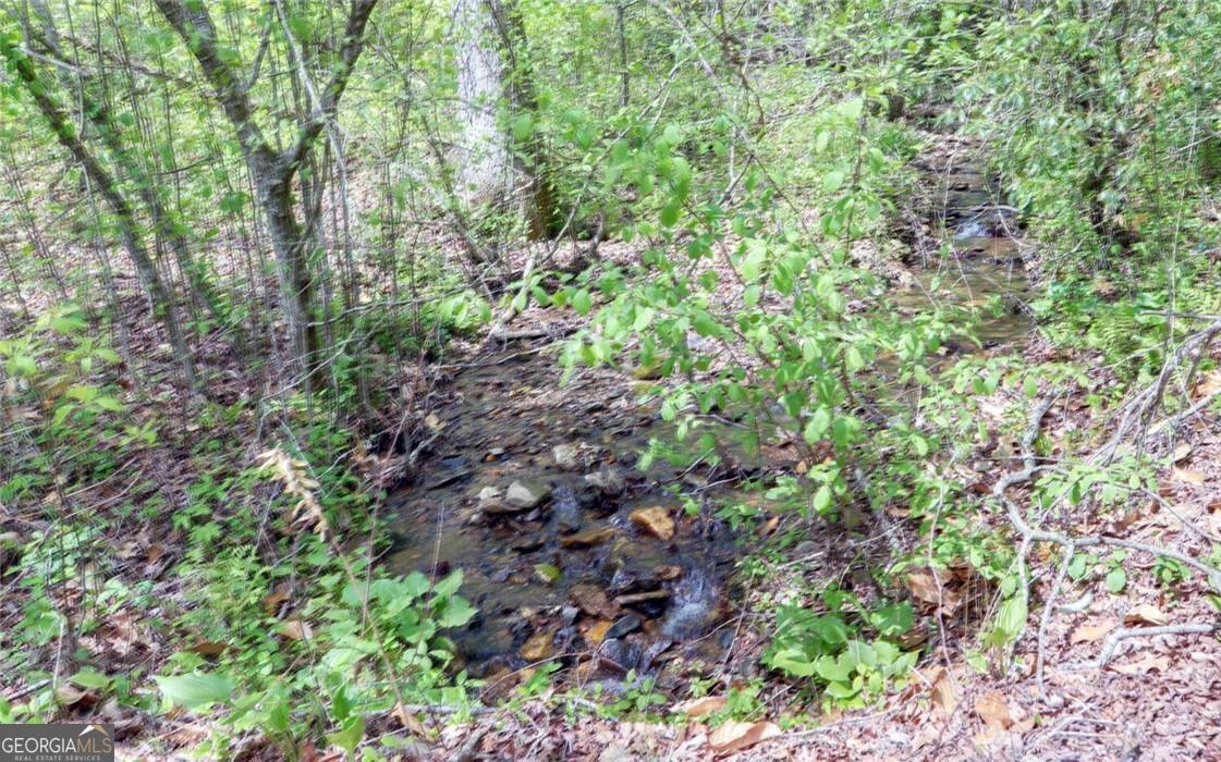 Tract 2 Clayton Gooch Road Dahlonega, GA 30533 - Photo 1 of 6
