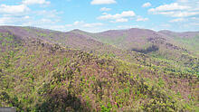 Tract 2 Clayton Gooch Road Dahlonega, GA 30533 - Photo 3 of 6