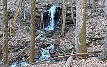Tract 2 Clayton Gooch Road Dahlonega, GA 30533 - Photo 4 of 6