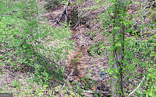 Tract 2 Clayton Gooch Road Dahlonega, GA 30533 - Photo 6 of 6