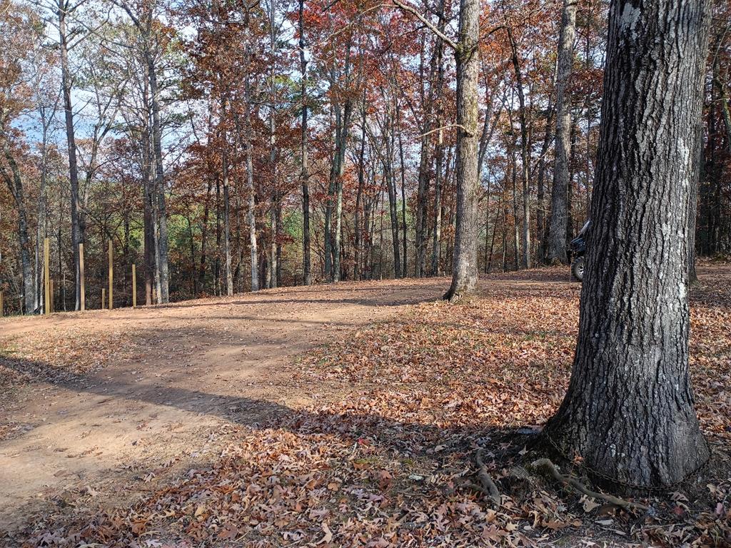 1681 Carters Road, Unit 109 Chatsworth, GA 30705 - Photo 1 of 5 Main View
