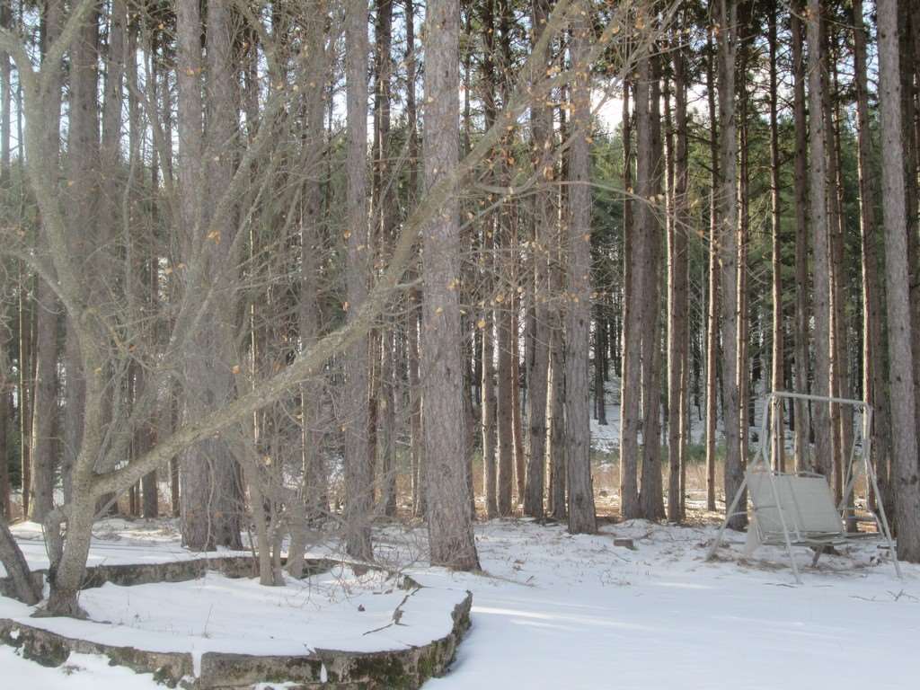5363 Moore Road Williamsburg, MI 49690 - Photo 40 of 43 1828903-39.JPG