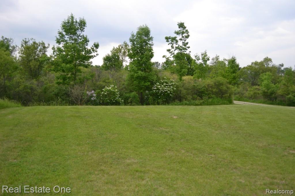12333 Hill Road Goodrich, MI 48438 - Photo 26 of 34 DSC_3537.jpg