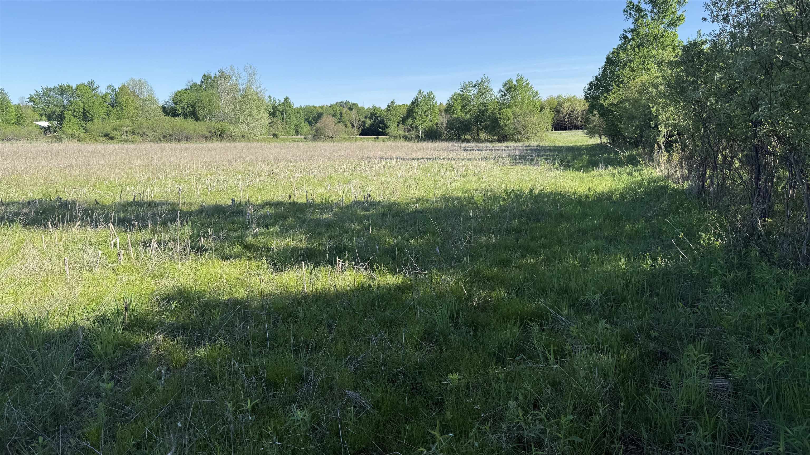 Lot 3 Eau Claire River Road Ringle, WI 54471 - Photo 11 of 28