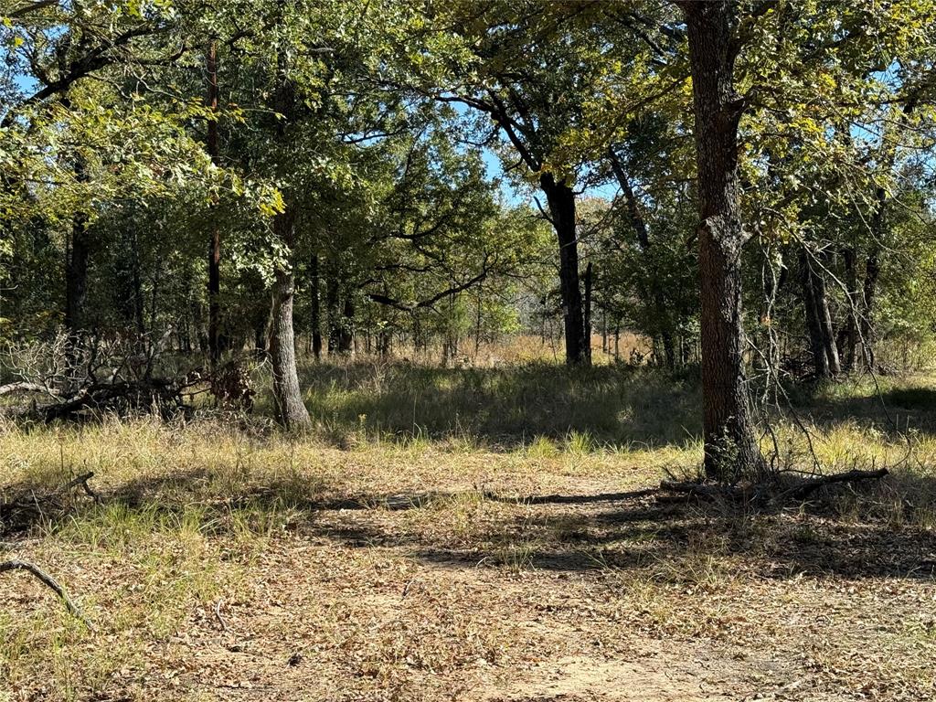 15801 Maple Lane Malakoff, TX 75148 - Photo 12 of 30 a view of a yard