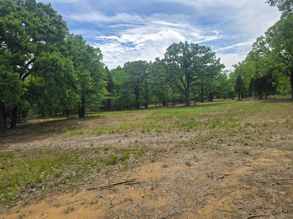 15801 Maple Lane Malakoff, TX 75148 - Photo 21 of 30 a view of outdoor space with trees