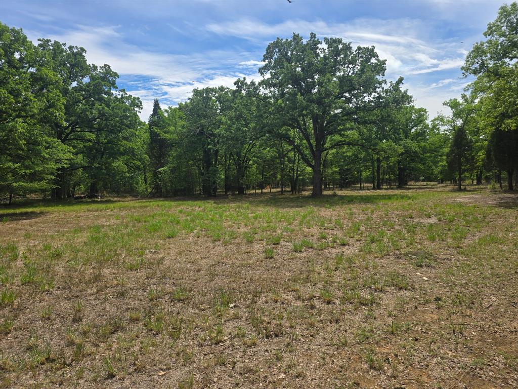 15801 Maple Lane Malakoff, TX 75148 - Photo 22 of 30 a view of a green field with trees in the background