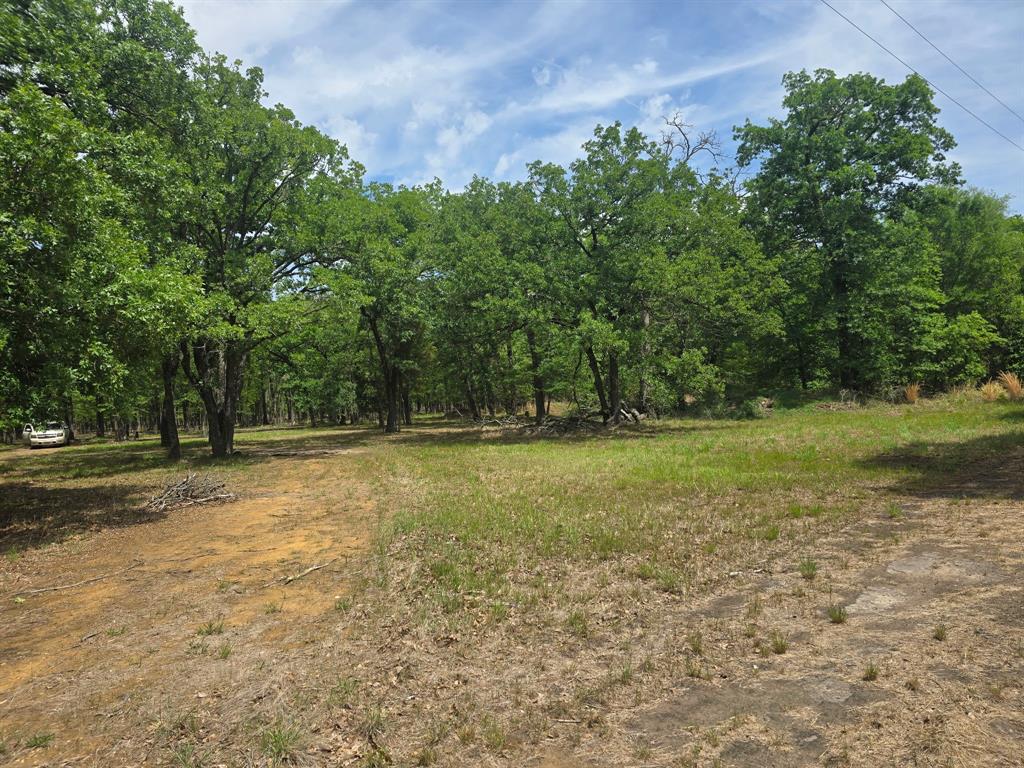 15801 Maple Lane Malakoff, TX 75148 - Photo 23 of 30 a view of a yard with trees