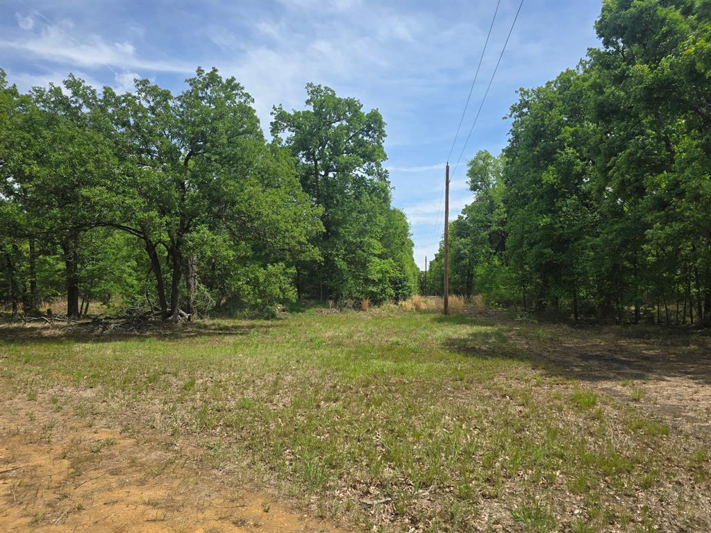 15801 Maple Lane Malakoff, TX 75148 - Photo 24 of 30 a view of a field with trees in the background