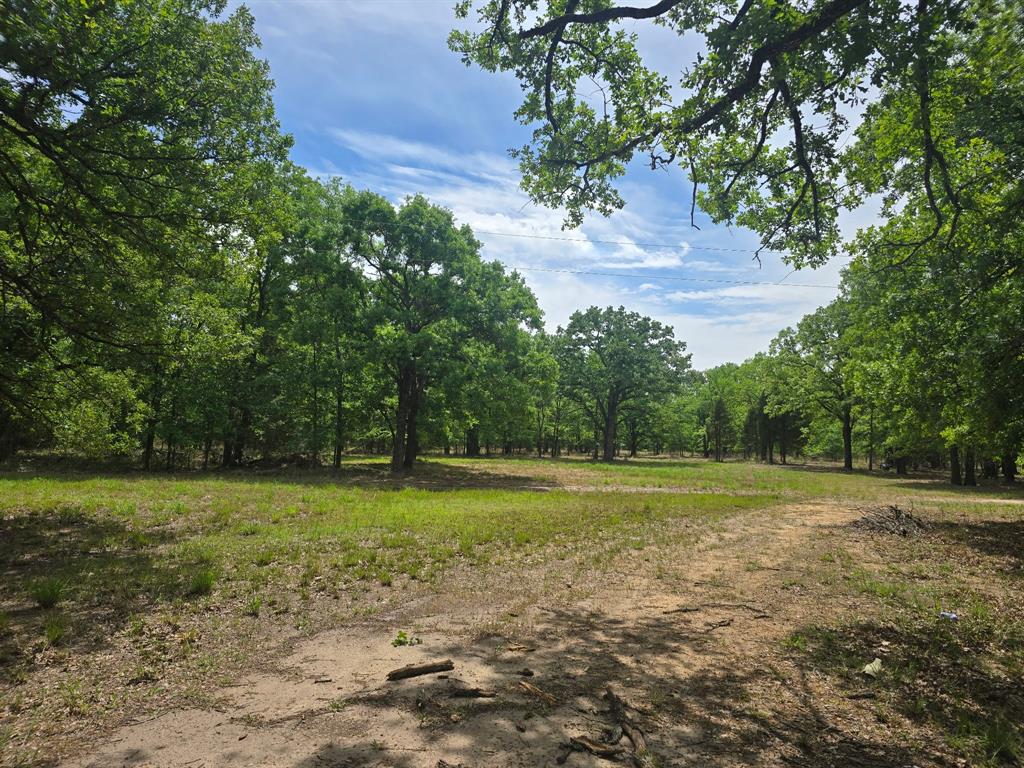 15801 Maple Lane Malakoff, TX 75148 - Photo 26 of 30 a view of a field with a trees