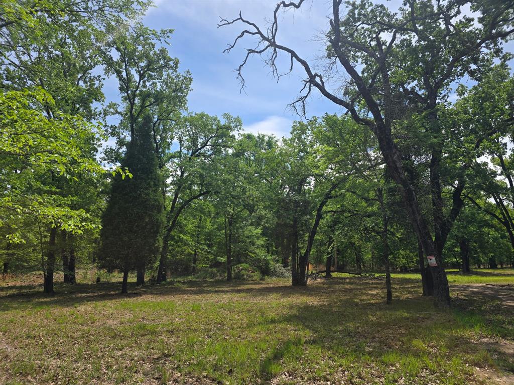 15801 Maple Lane Malakoff, TX 75148 - Photo 27 of 30 a backyard of a house with lots of trees