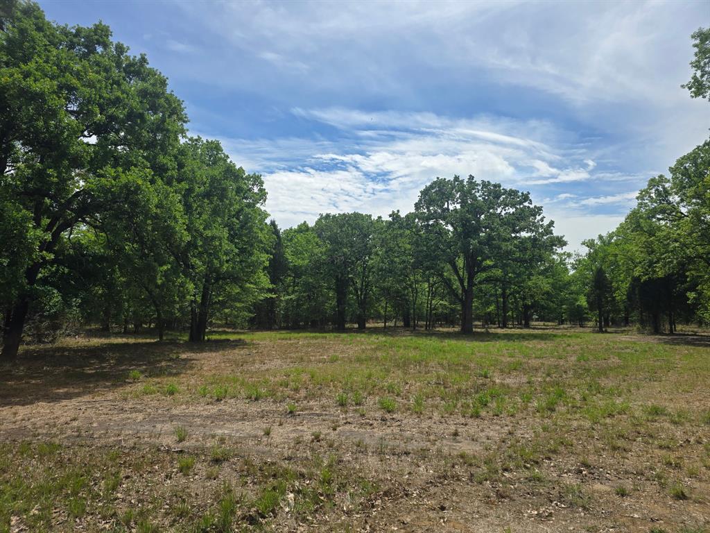 15801 Maple Lane Malakoff, TX 75148 - Photo 29 of 30 a view of outdoor space with a garden and trees