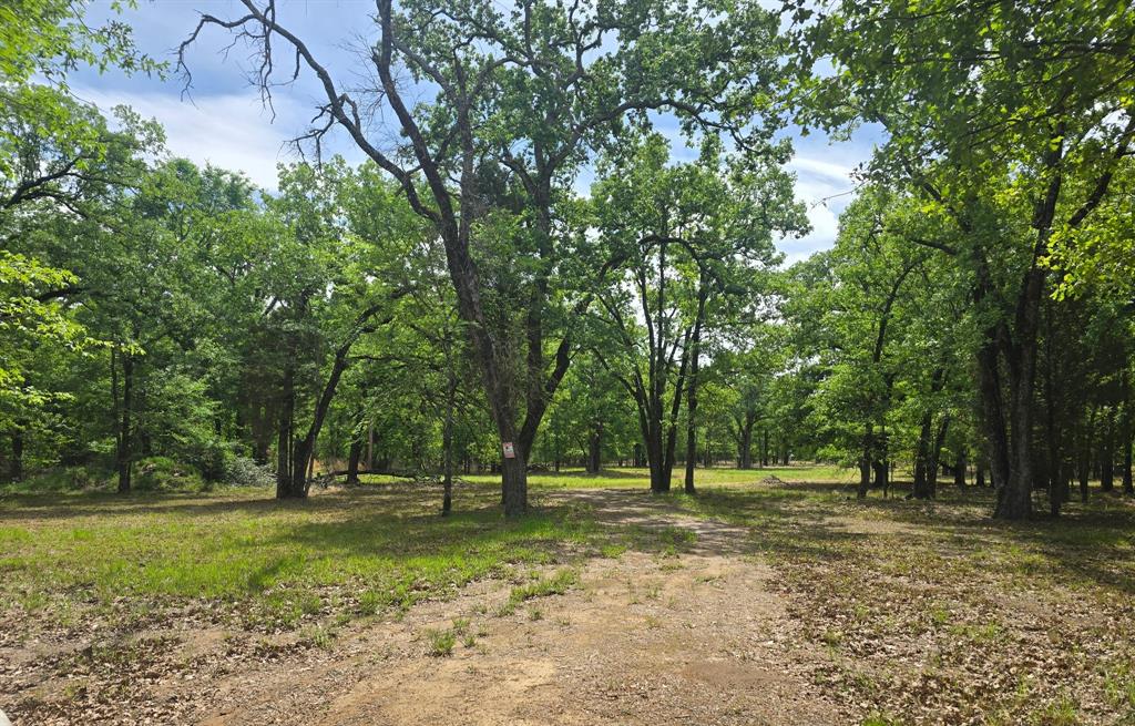 15801 Maple Lane Malakoff, TX 75148 - Photo 30 of 30 a view of park with trees