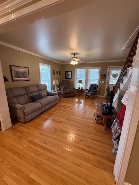 973 Levy Road Paris, KY 40361 - Photo 22 of 91 ling from kitchen