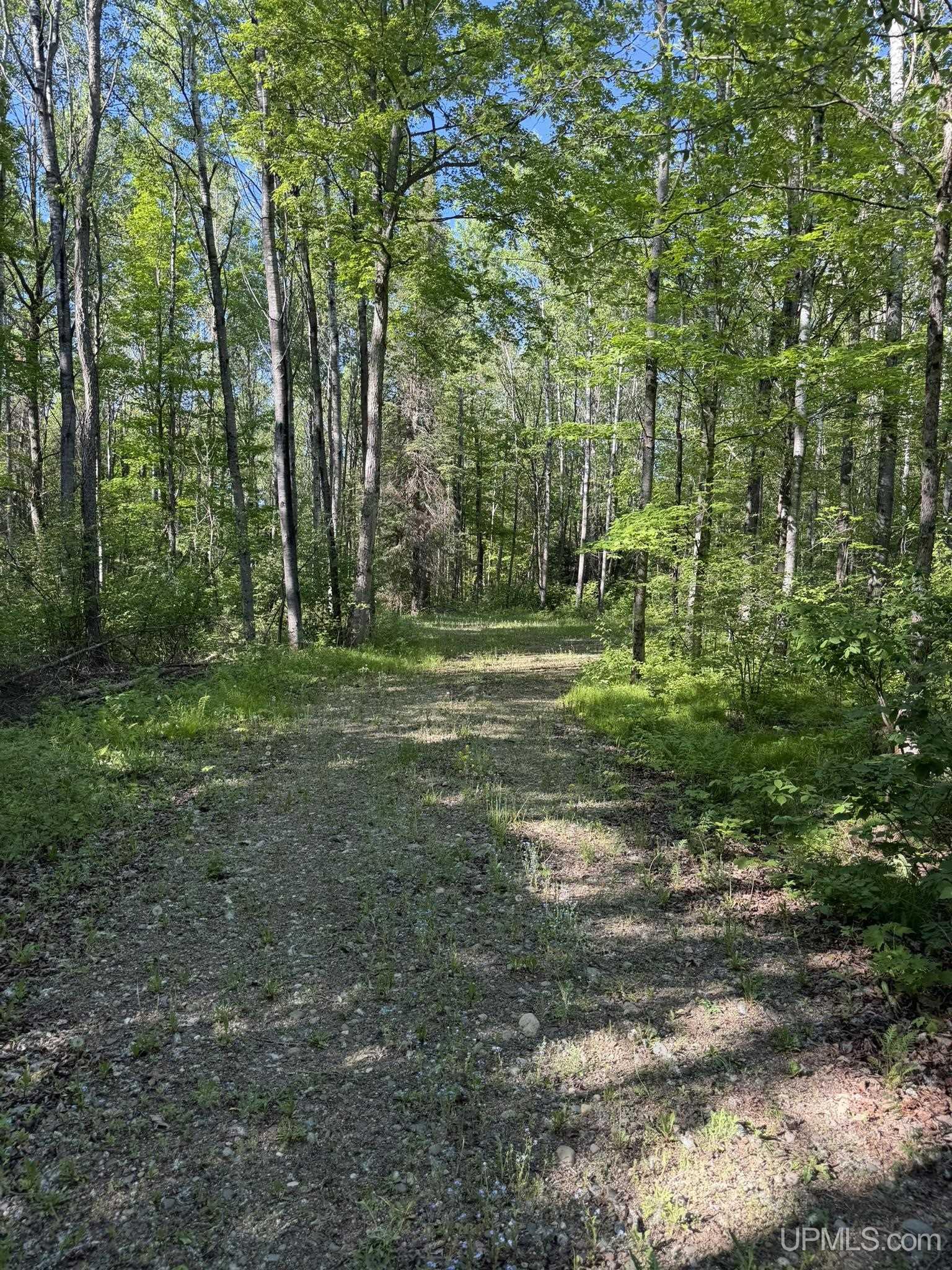 Tipler-wi Dream Lake Road Long Lake, WI 54542 - Photo 3 of 8