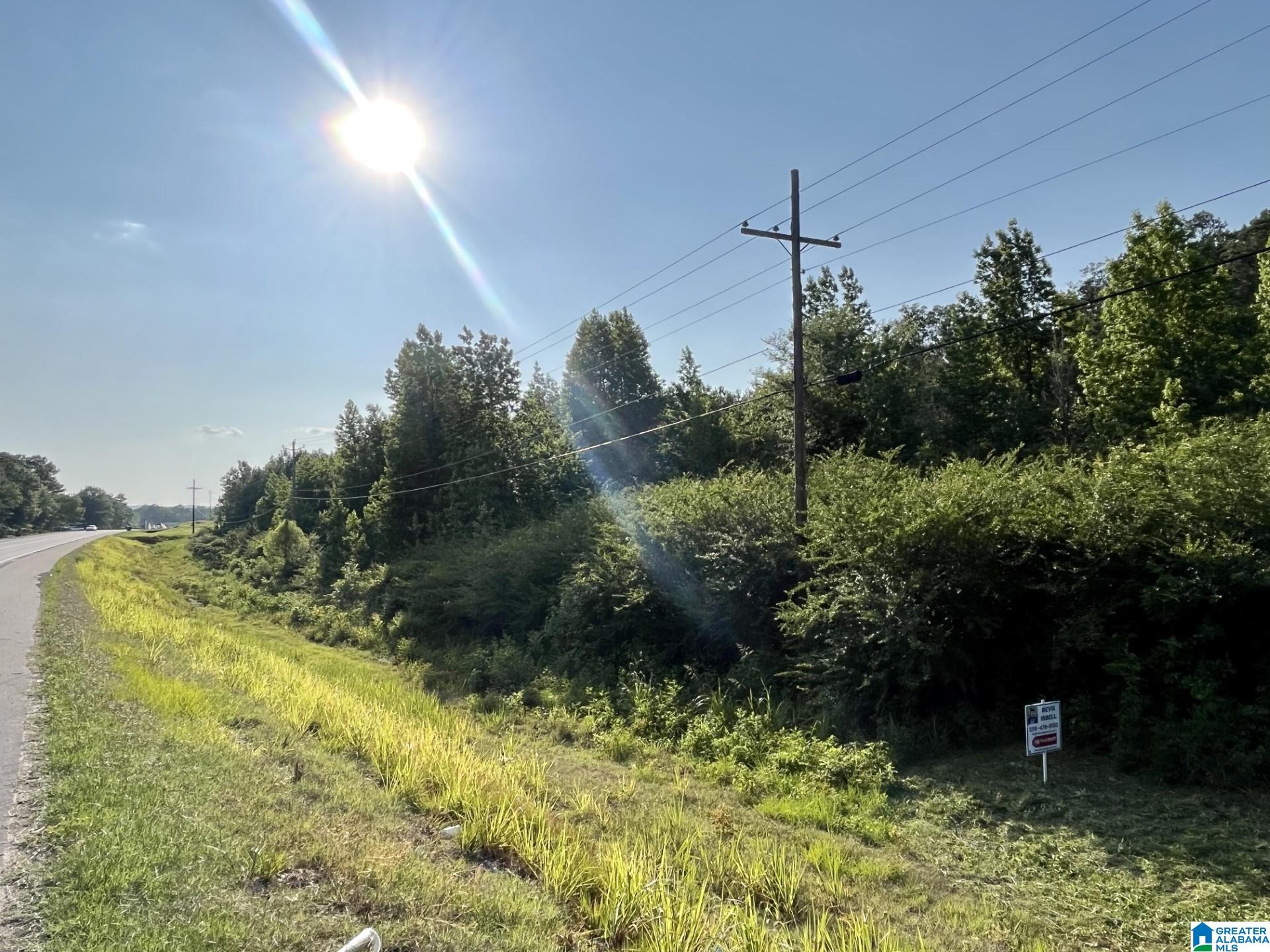 0 Highway 144, Unit 1 Ohatchee, AL 36271 - Photo 8 of 11
