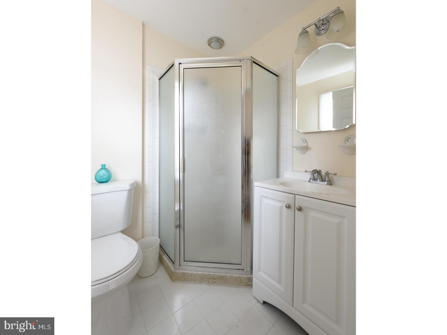 1507 Charles Road West Chester, PA 19382 - Photo 18 of 25 Master Bathroom