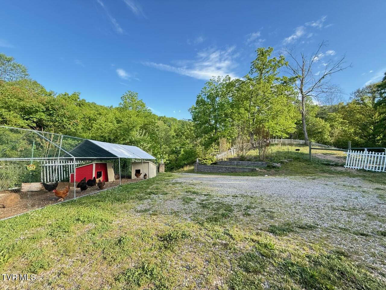 2497 Upper Copper Creek Road Castlewood, VA 24224 - Photo 8 of 31 IMG_0676
