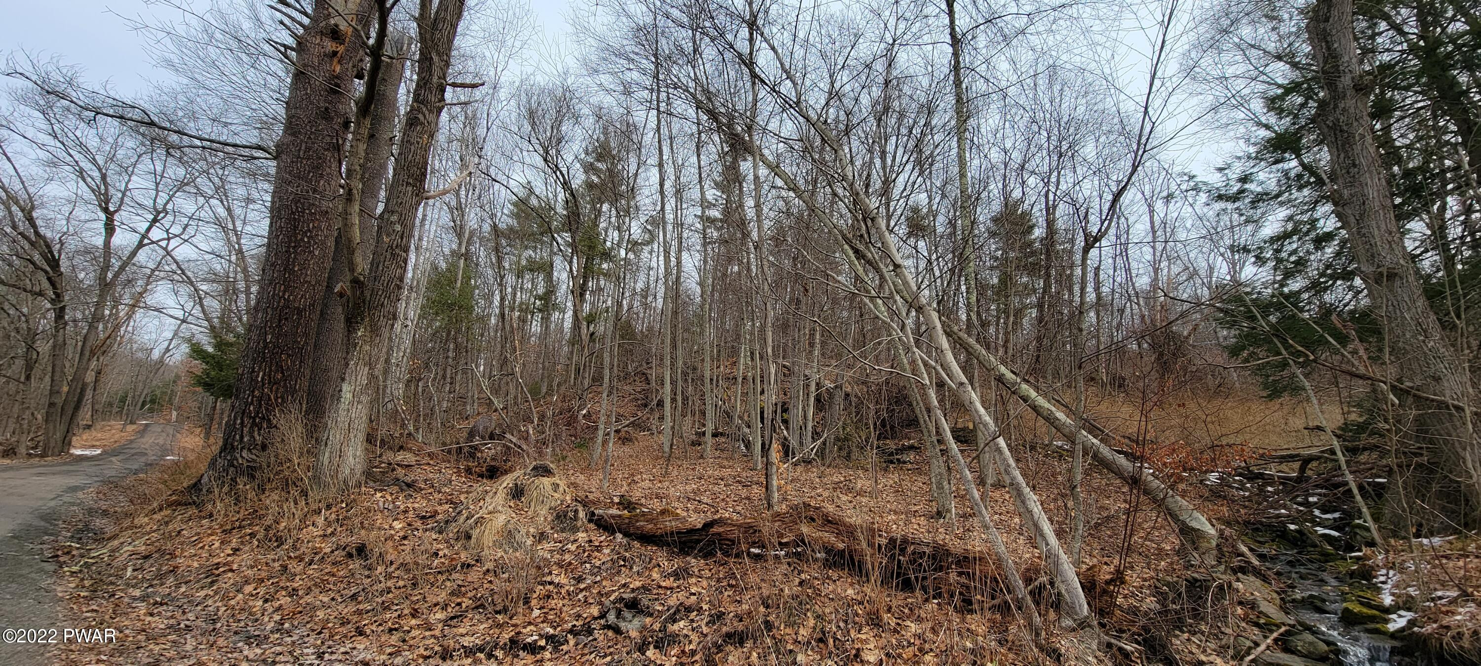 Lot 5.2 Humphrey Road Narrowsburg, NY 12764 - Photo 23 of 51