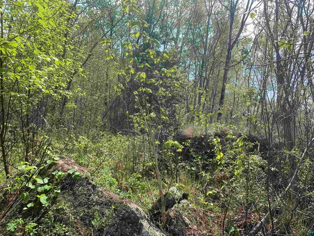 $79,900 | 78 Trolls Trail, Hovland, MN 55606