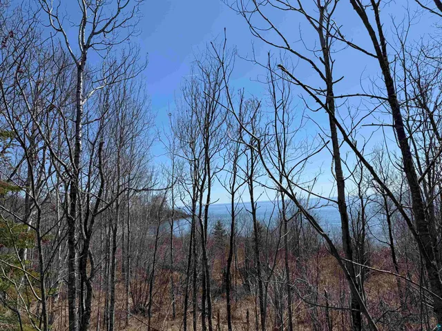 $79,900 | 78 Trolls Trail, Hovland, MN 55606