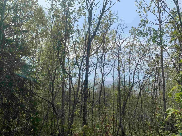 $79,900 | 78 Trolls Trail, Hovland, MN 55606