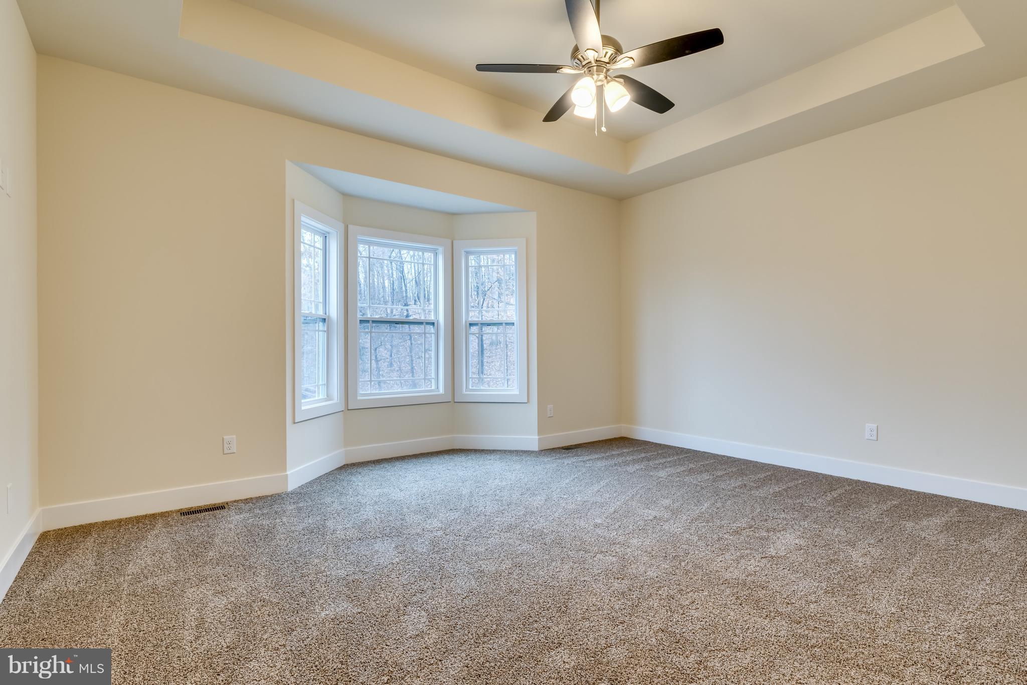 1260 Riparian Drive Falling Waters, WV 25419 - Photo 14 of 36 Master Bedroom with bay window and tray ceiling