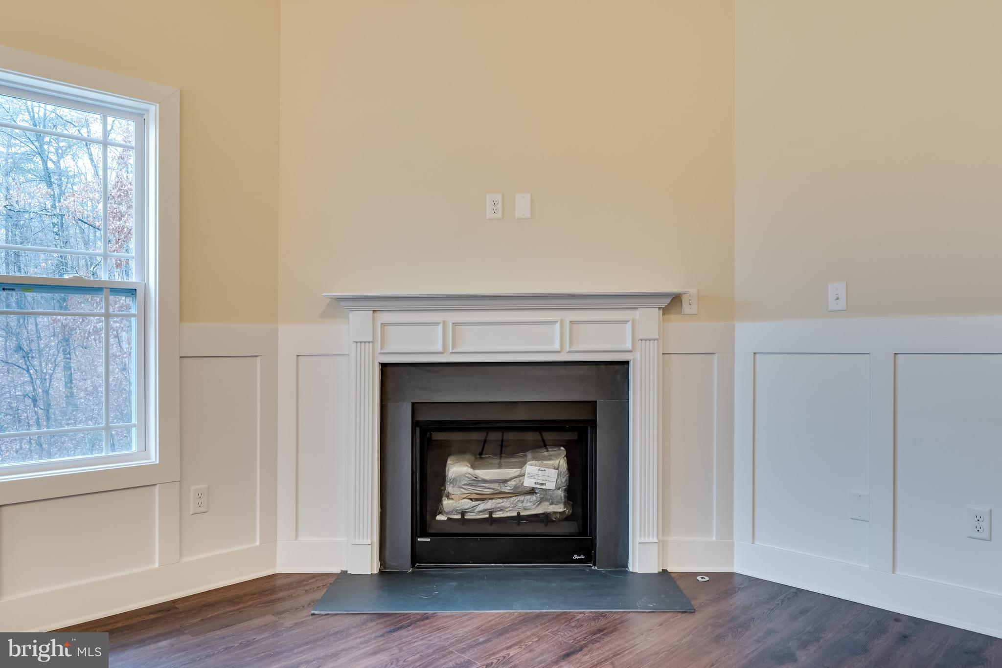 1260 Riparian Drive Falling Waters, WV 25419 - Photo 3 of 36 Gas Fireplace