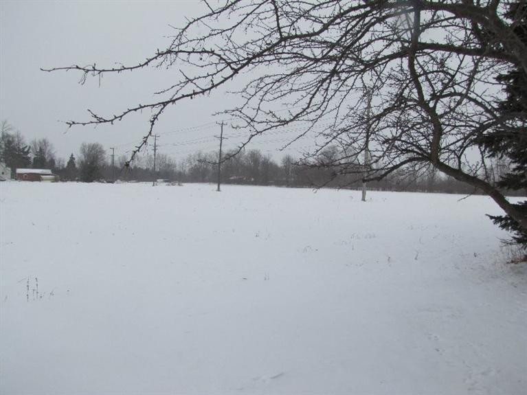 13460 Wabash Road Milan, MI 48160 - Photo 8 of 24 Photo 8