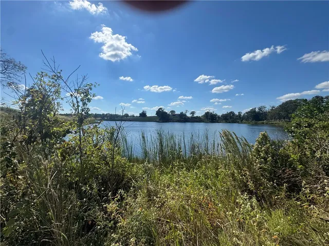 a view of a lake with plants and large trees