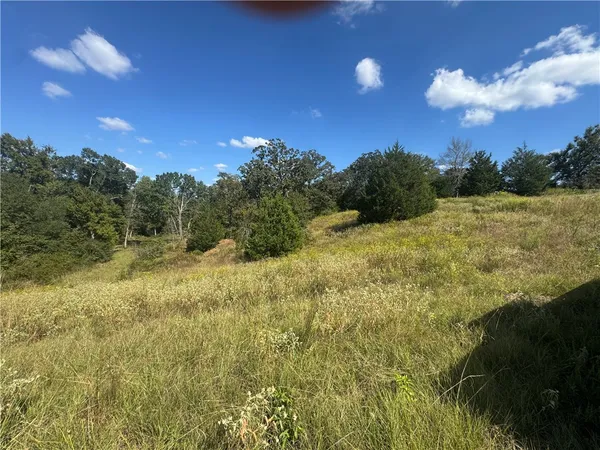 $185,000 | 3803 Private Road 4100, Marquez, TX 77865