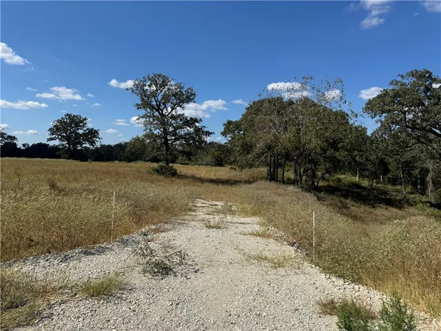 a view of a yard with a tree