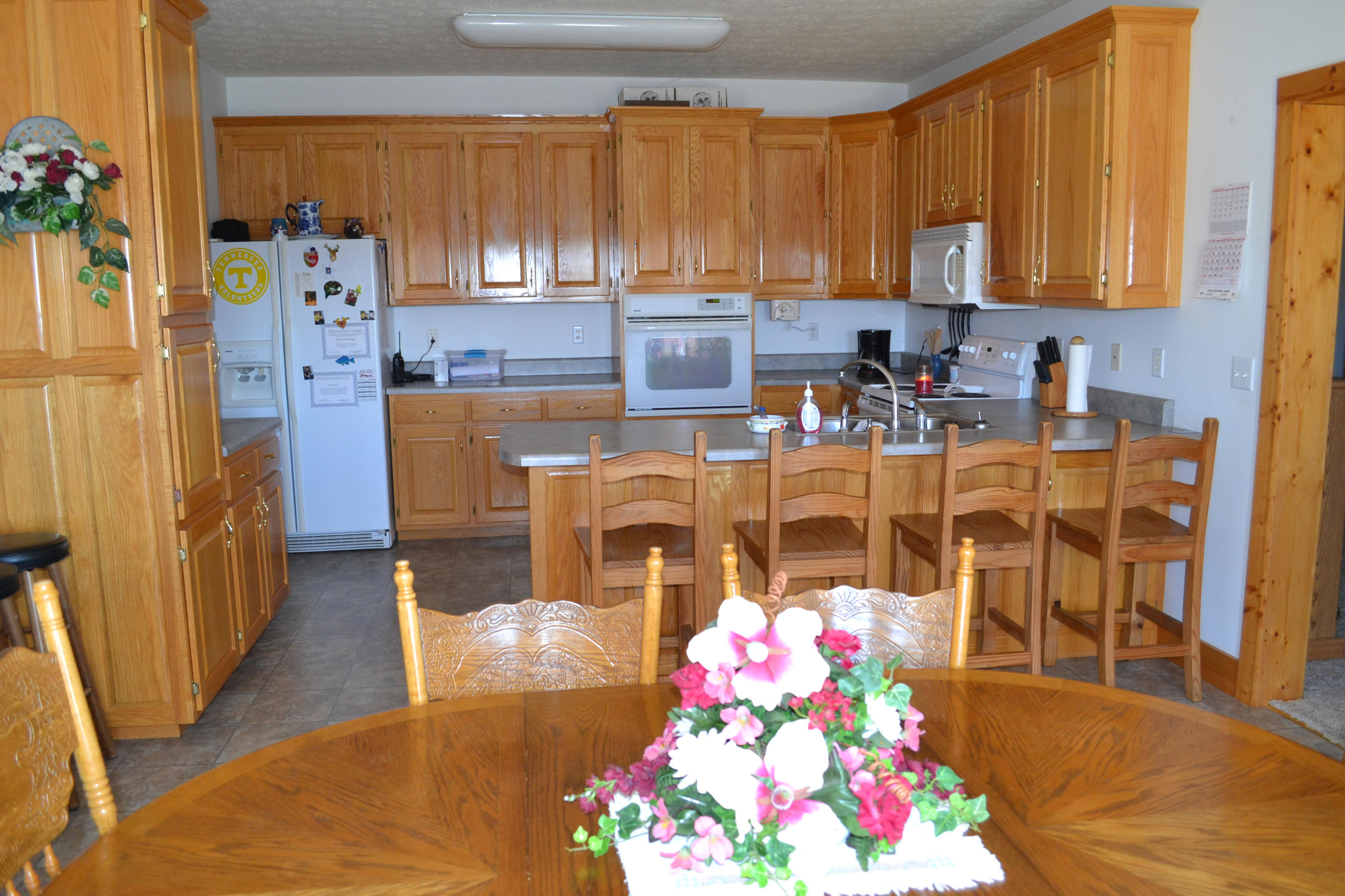 481 Eston Simmons Road Pikeville, TN 37367 - Photo 16 of 33 DSC_0774
