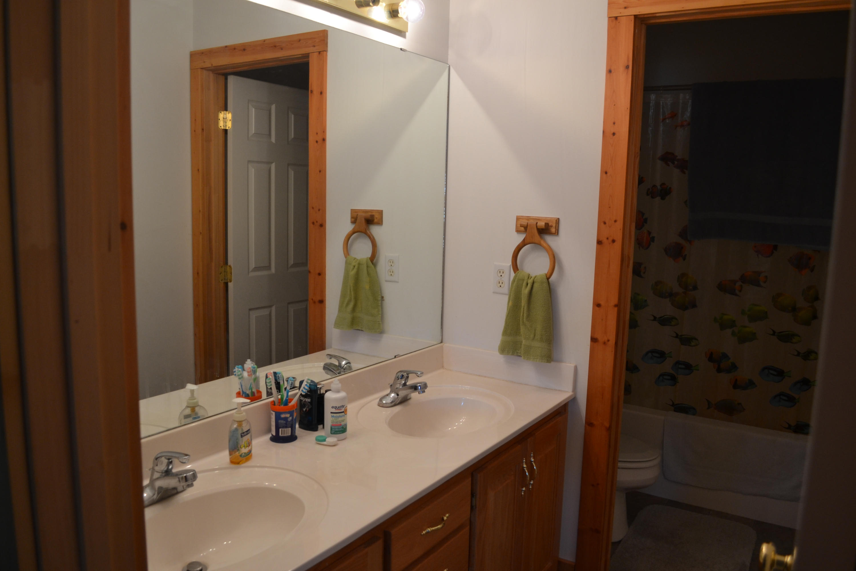 481 Eston Simmons Road Pikeville, TN 37367 - Photo 26 of 33 DSC_0784