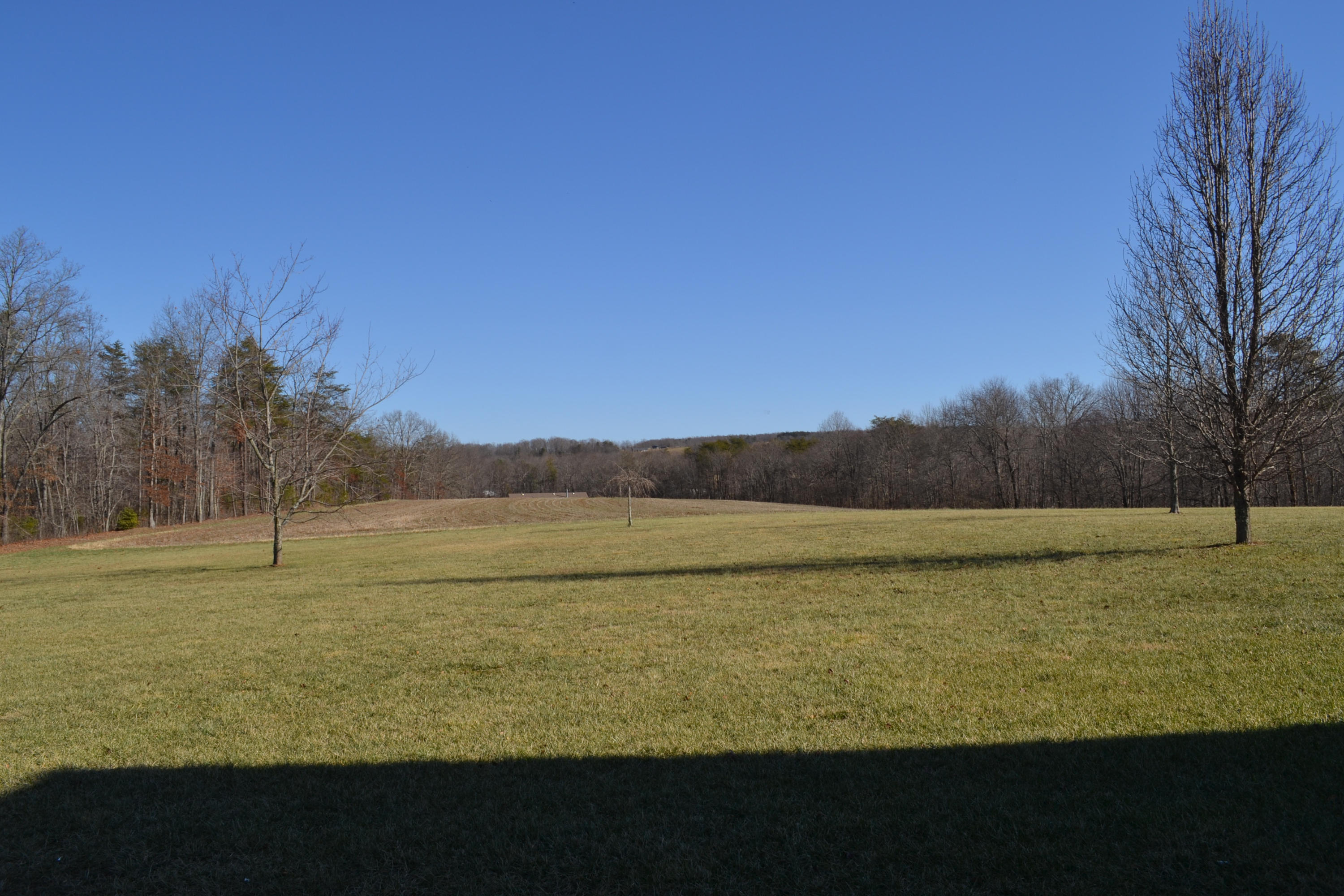 481 Eston Simmons Road Pikeville, TN 37367 - Photo 4 of 33 DSC_0762