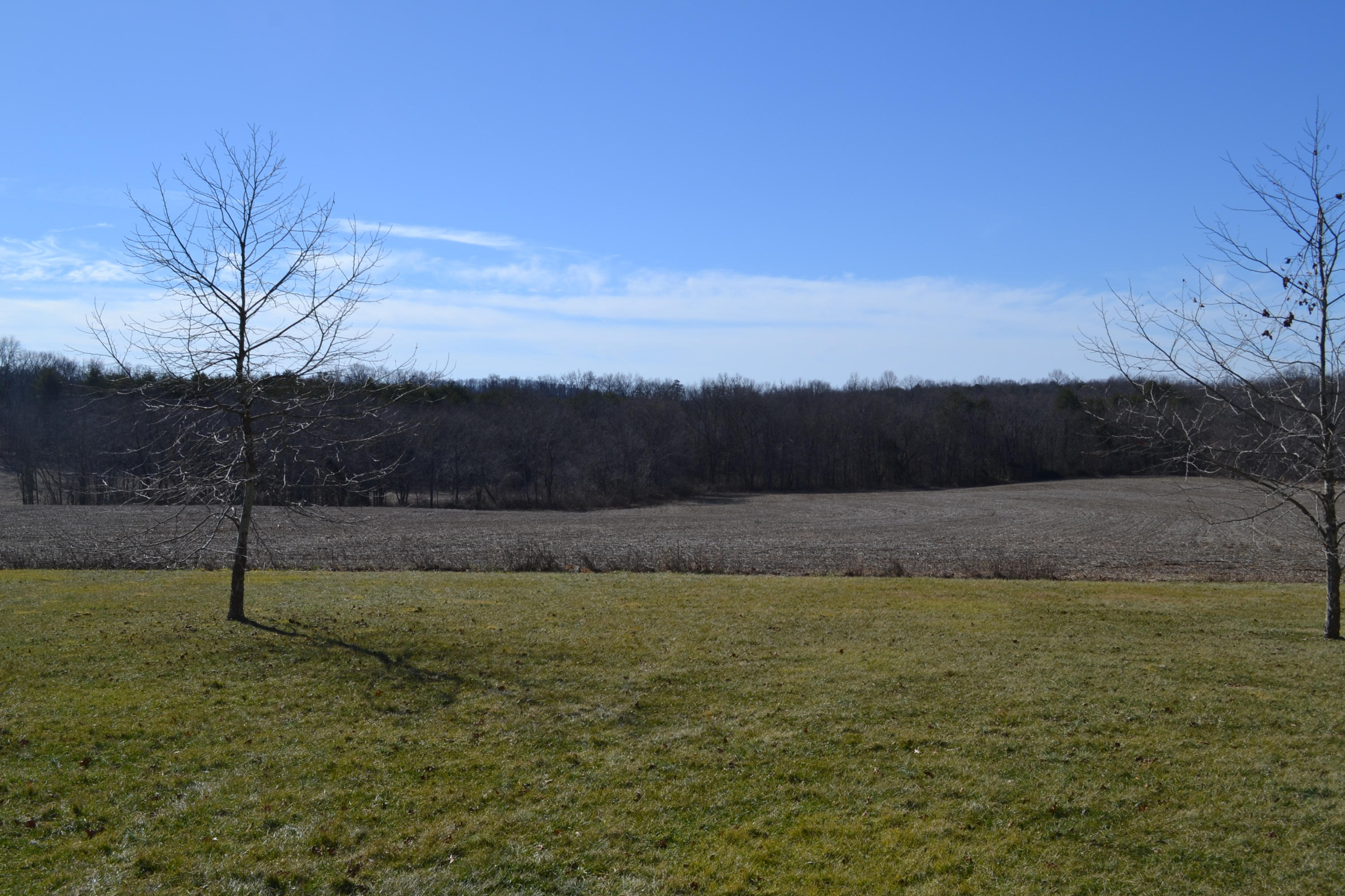 481 Eston Simmons Road Pikeville, TN 37367 - Photo 33 of 33 DSC_0791