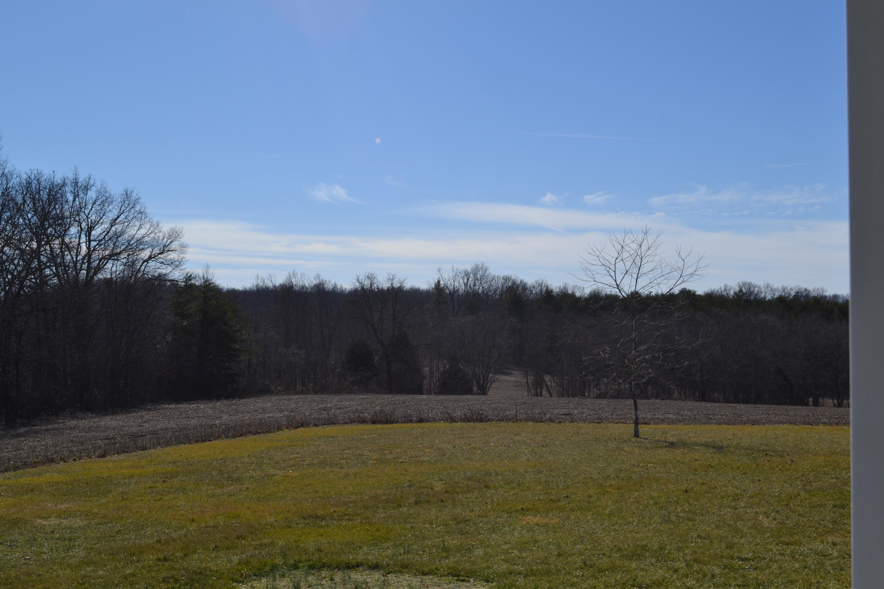 481 Eston Simmons Road Pikeville, TN 37367 - Photo 6 of 33 DSC_0764