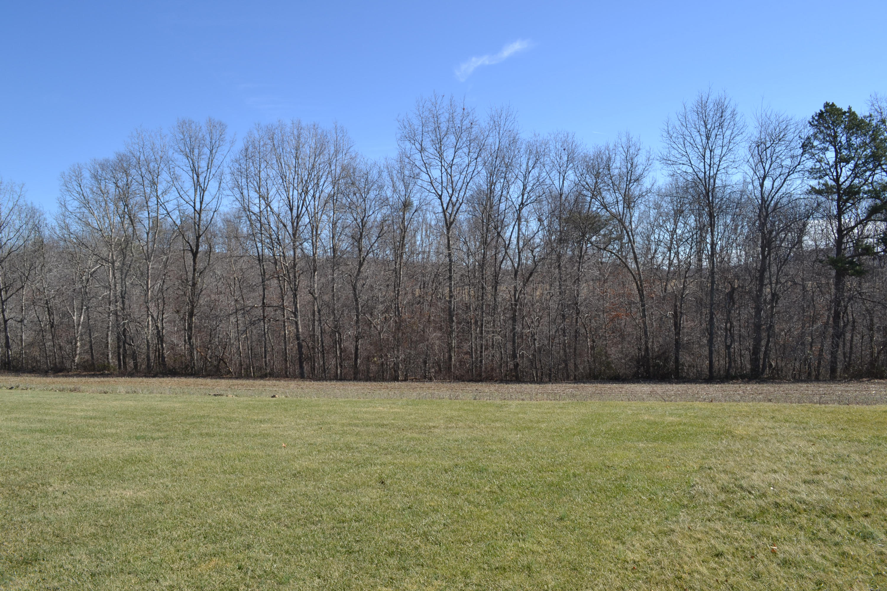 481 Eston Simmons Road Pikeville, TN 37367 - Photo 7 of 33 DSC_0765