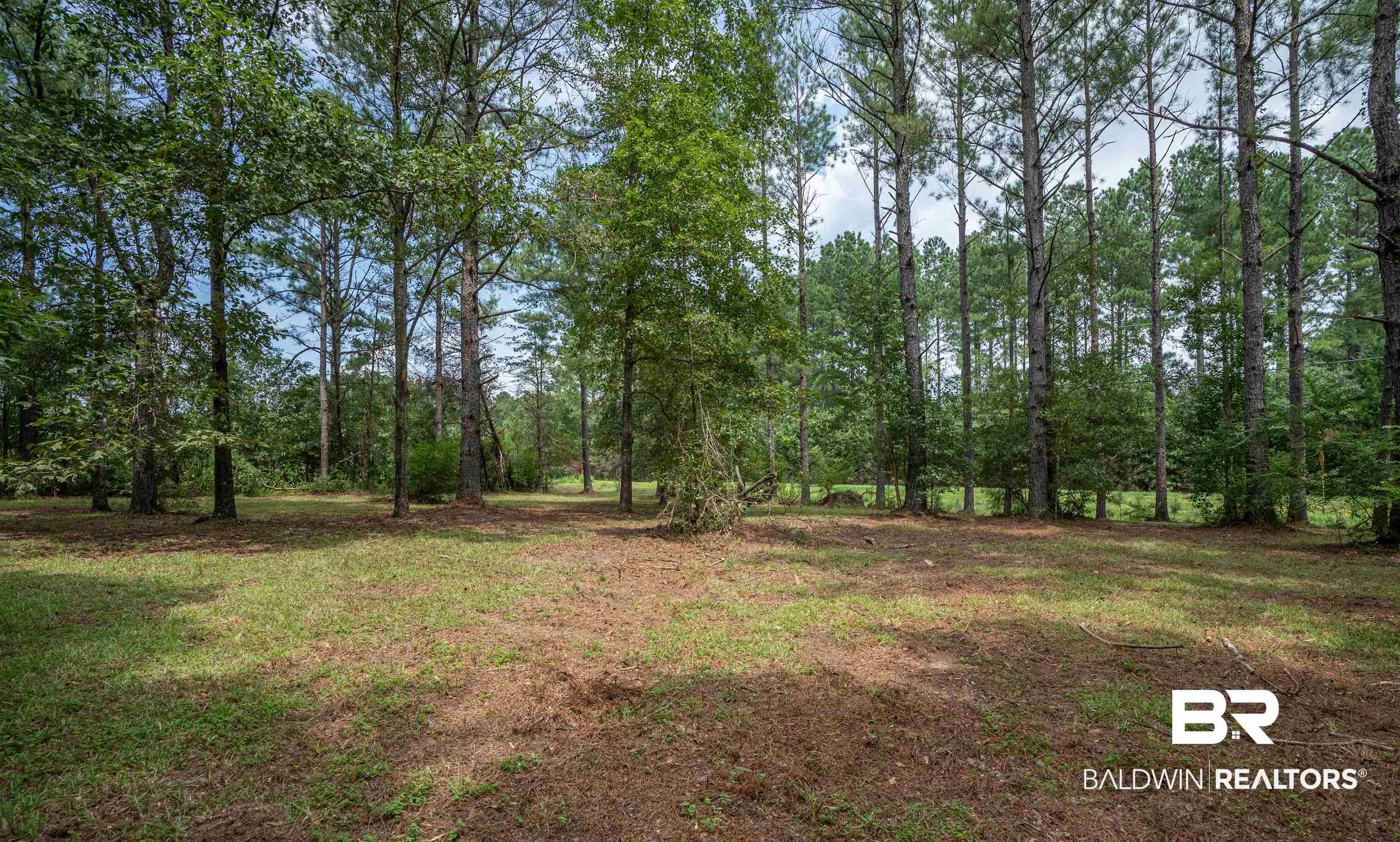 23439 Patterson Road Robertsdale, AL 36567 - Photo 10 of 17