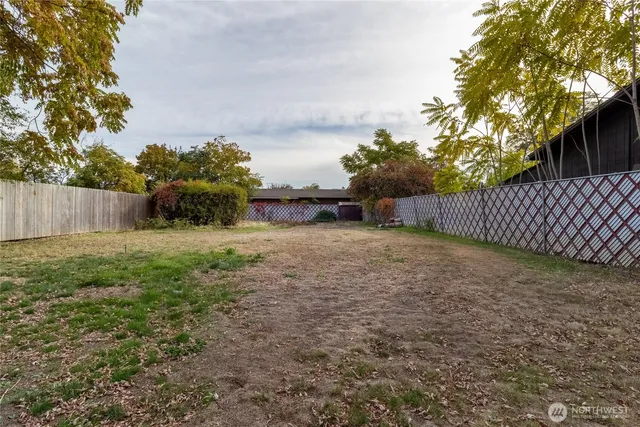 a view of a yard with large tree and wooden fence