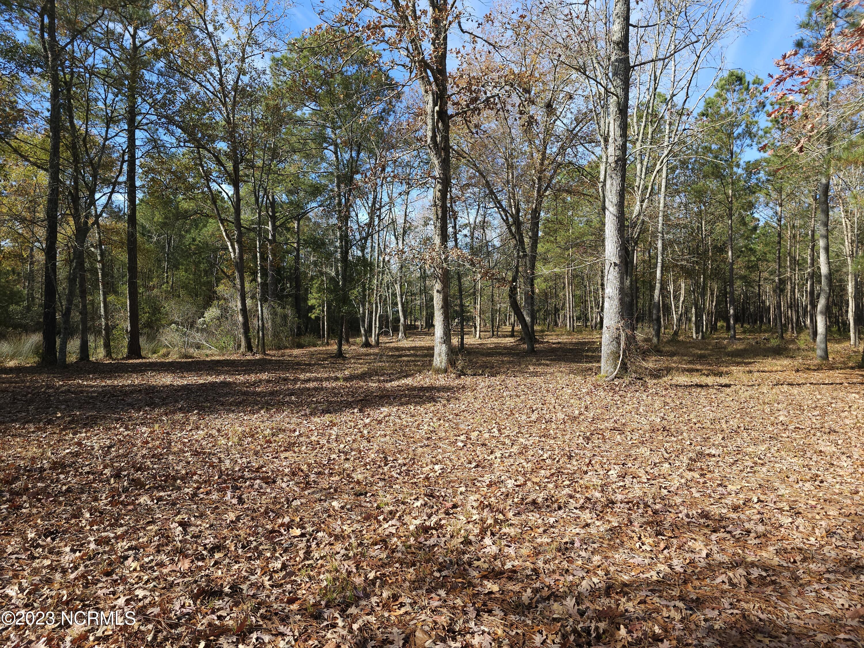 65 Tarpon Pointe Road Bath, NC 27808 - Photo 11 of 20 20231130_103237