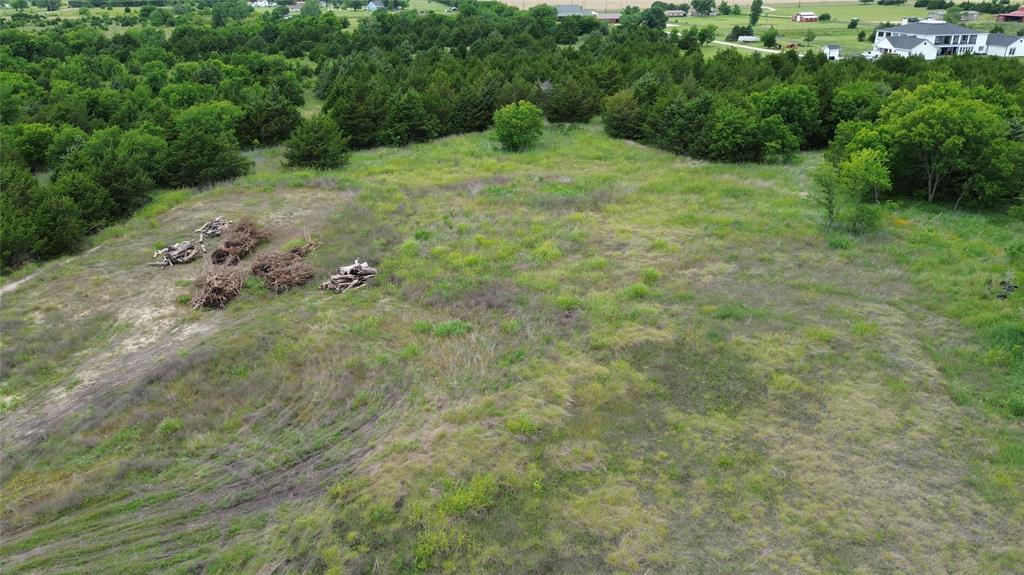 Tbv Evergreen Way Nevada, TX 75173 - Photo 3 of 4 a big yard with lots of green space and deers