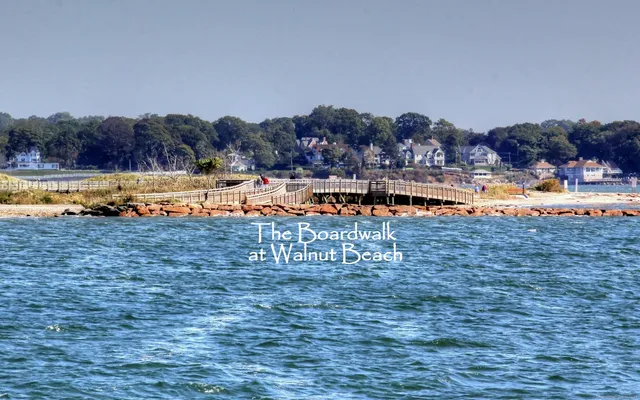 a view of a swimming pool and lounge chairs