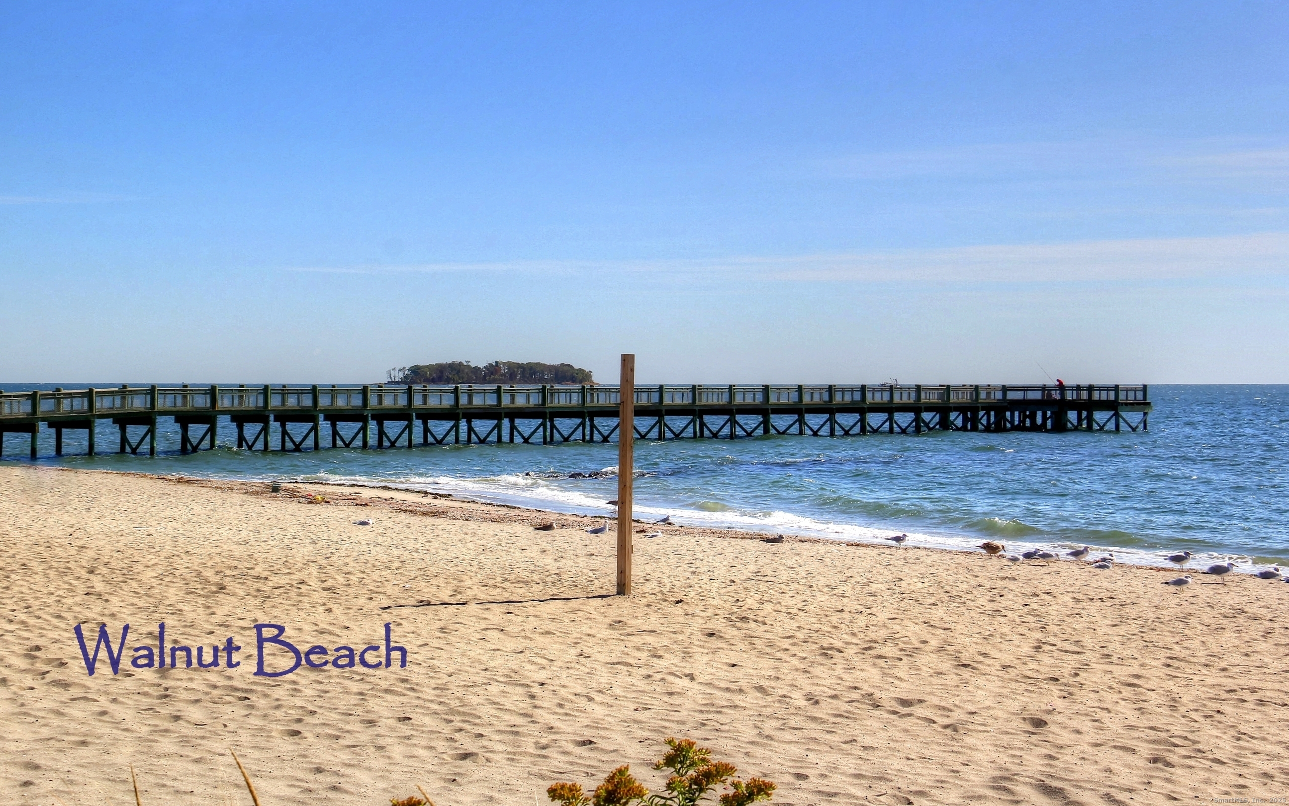 23 Shea Avenue, Unit 23 Milford, CT 06460 - Photo 15 of 16 a view of swimming pool