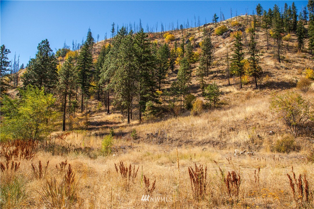 0 Olalla Canyon Road, Unit 2 Cashmere, WA 98815 - Photo 1 of 11 Gallery Image 1