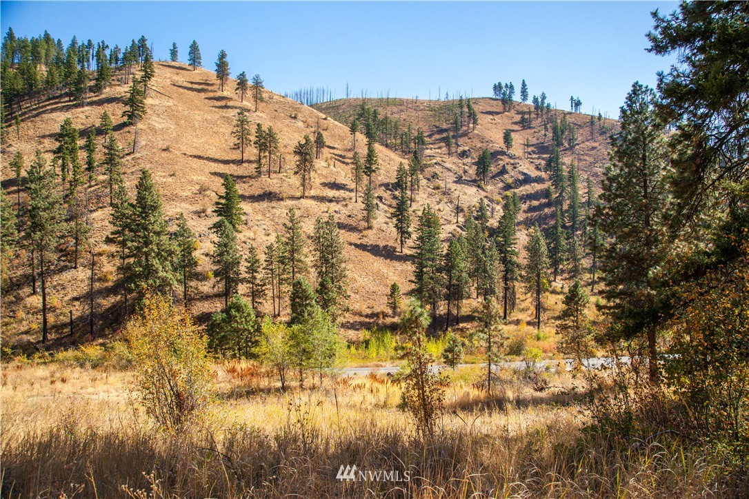 0 Olalla Canyon Road, Unit 2 Cashmere, WA 98815 - Photo 11 of 11 Gallery Image 11