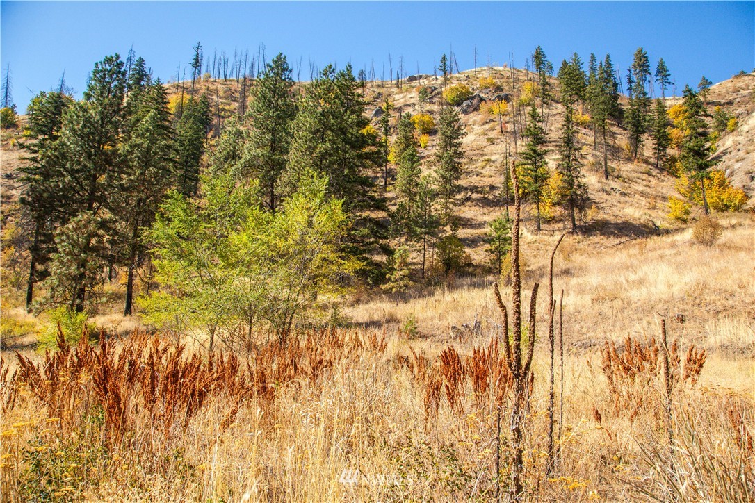 0 Olalla Canyon Road, Unit 2 Cashmere, WA 98815 - Photo 4 of 11 Gallery Image 4