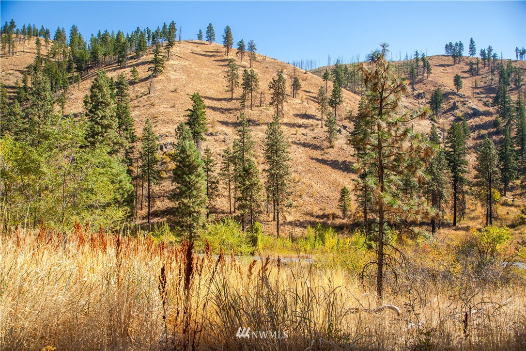 0 Olalla Canyon Road, Unit 2 Cashmere, WA 98815 - Photo 7 of 11 Gallery Image 7