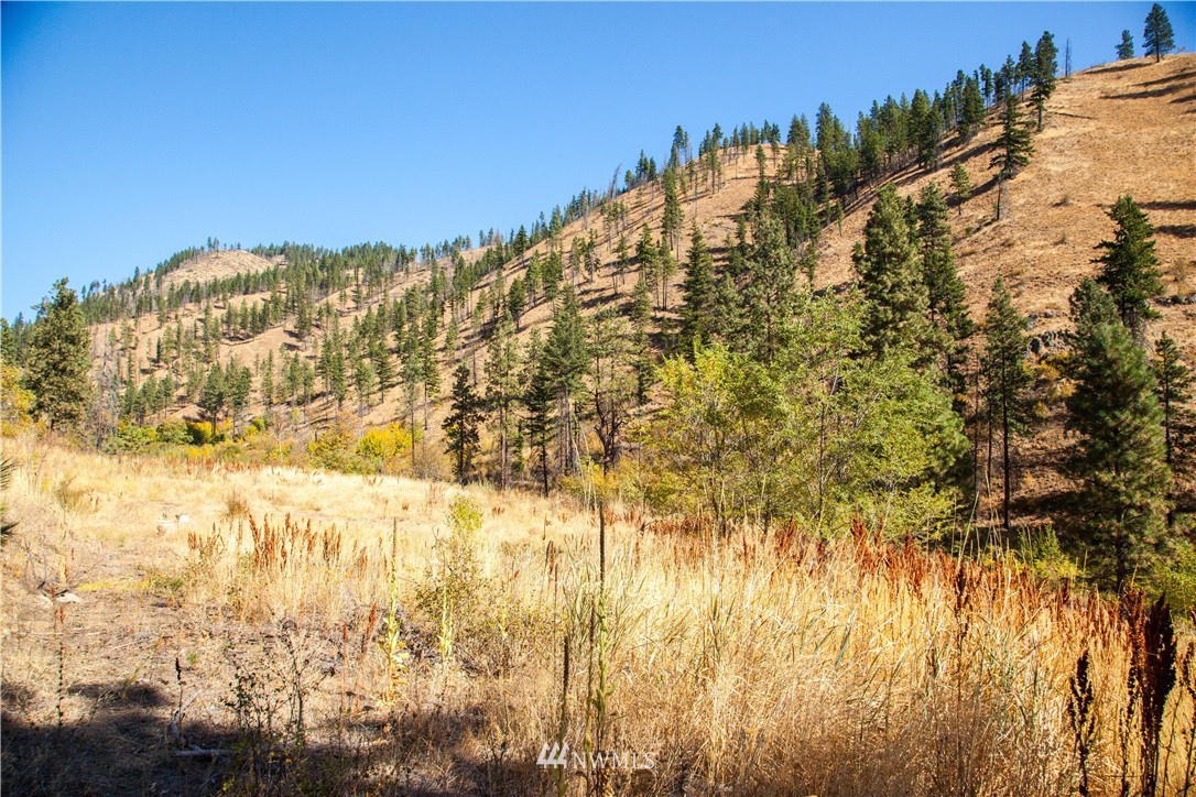 0 Olalla Canyon Road, Unit 2 Cashmere, WA 98815 - Photo 8 of 11 Gallery Image 8